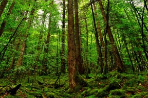 世界短道公开赛：规则透明与安全标准并重改善竞赛环境，世界短道速滑锦标赛赛程